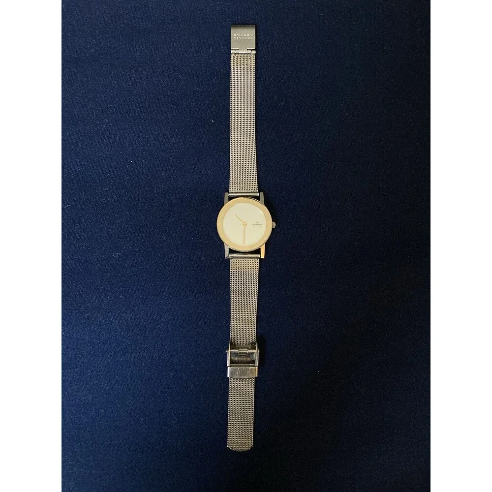 Skagen Denmark Women’s Watch | Stainless Steel, Two Toned Color
